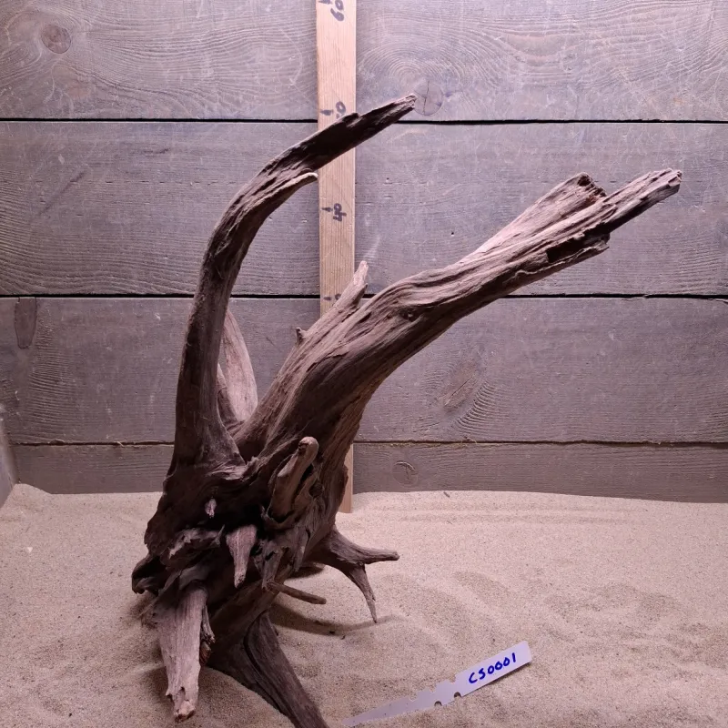 Corbo Root CS0001