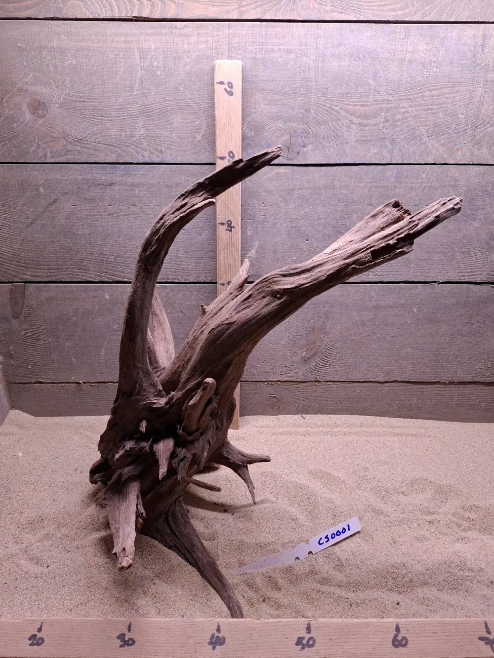 Corbo Root CS0001