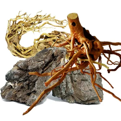Hardscape
