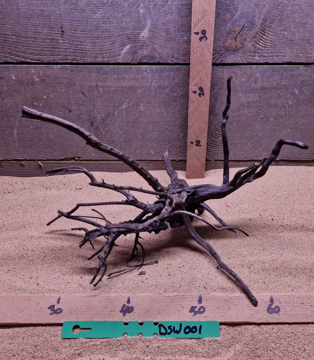 Dark Spiderwood DSW001