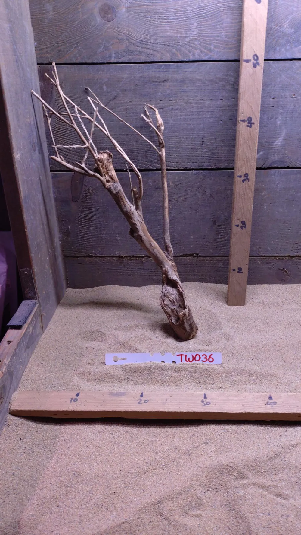 Talawa Wood TW036