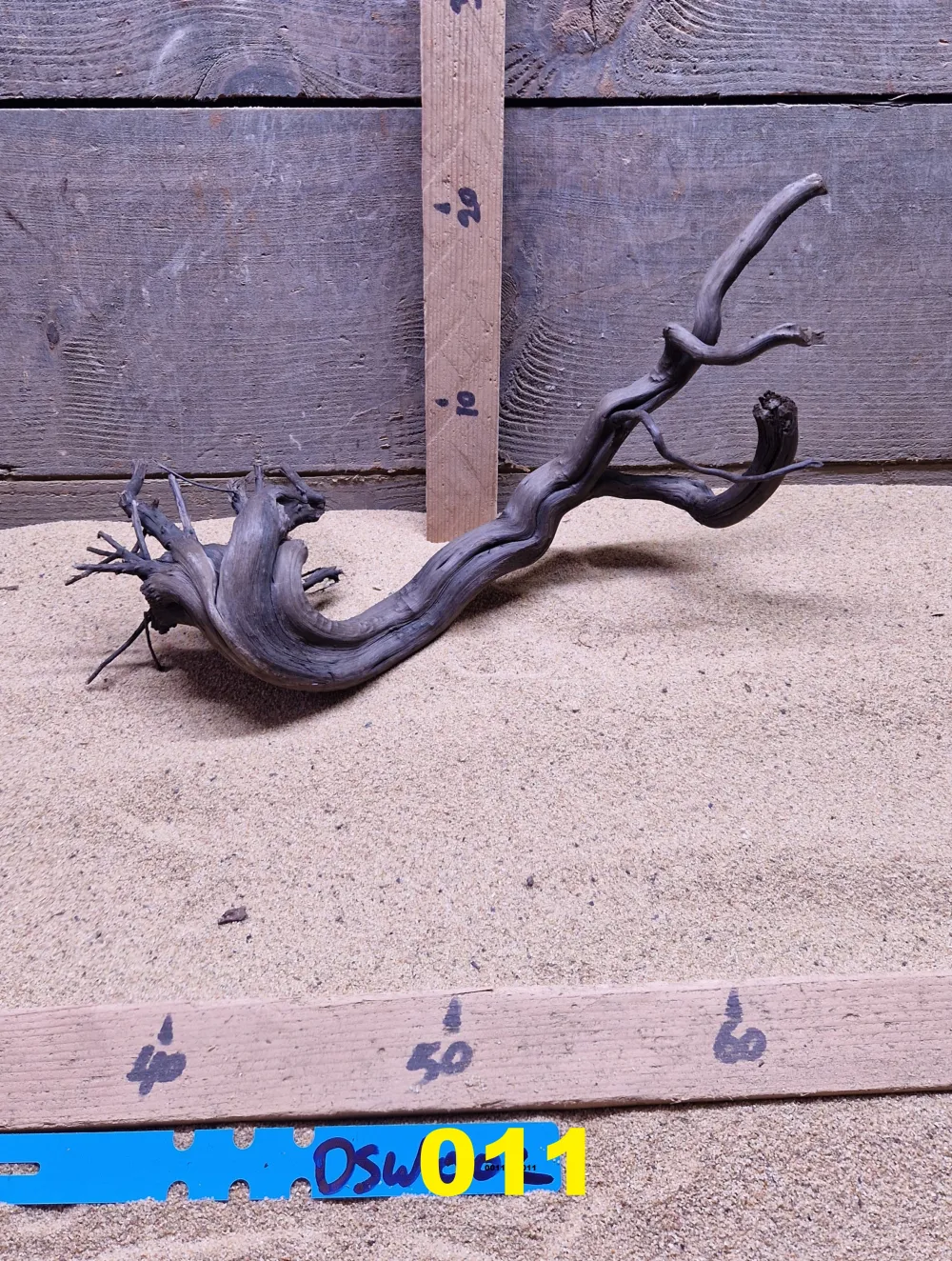 Dark Spiderwood DSW011