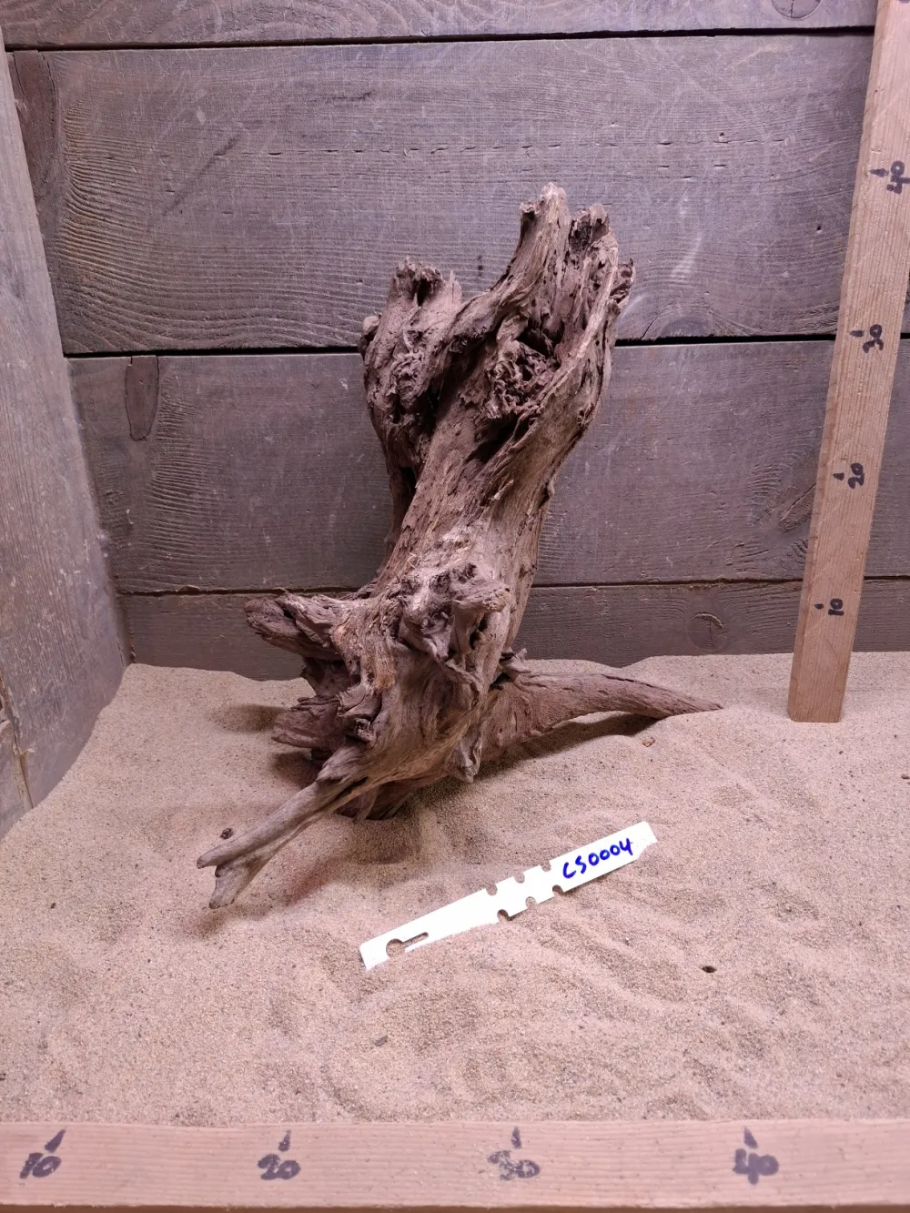 Corbo Root CS0004