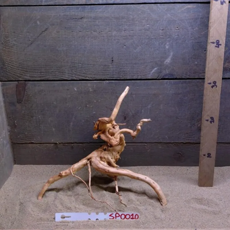 Spiderwood SP0010