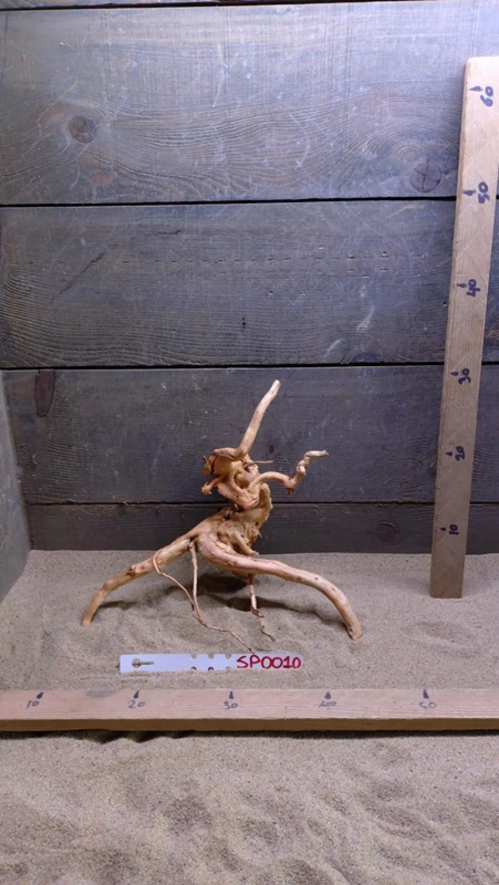 Spiderwood SP0010
