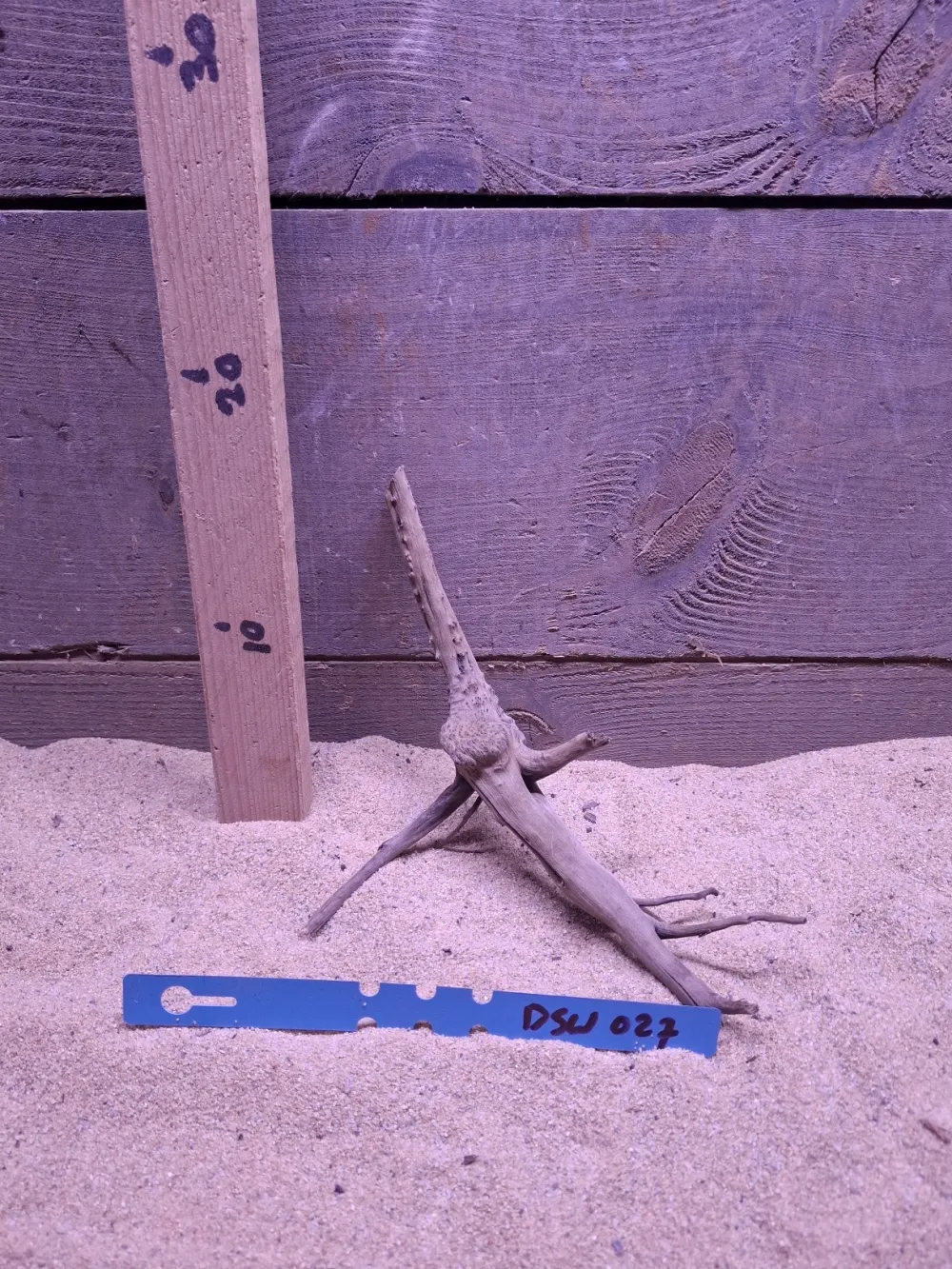 Dark Spiderwood DSW027