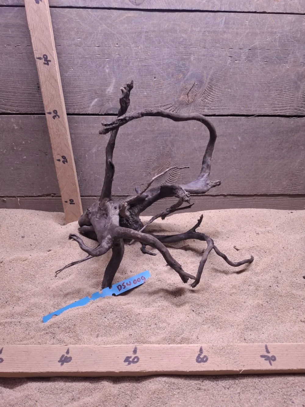 Dark Spiderwood DSW009