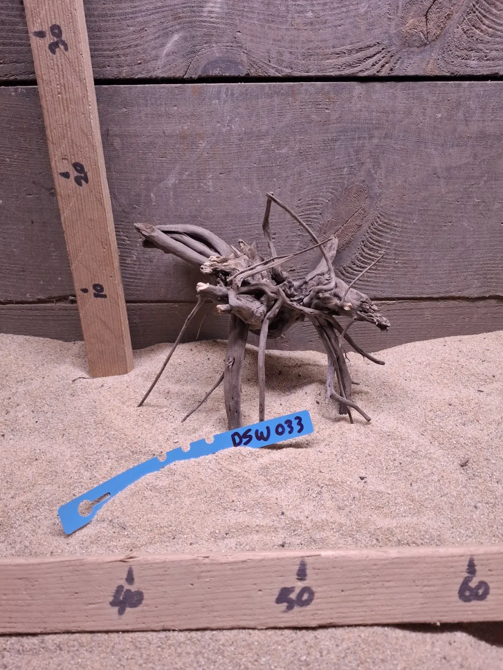 Dark Spiderwood DSW033