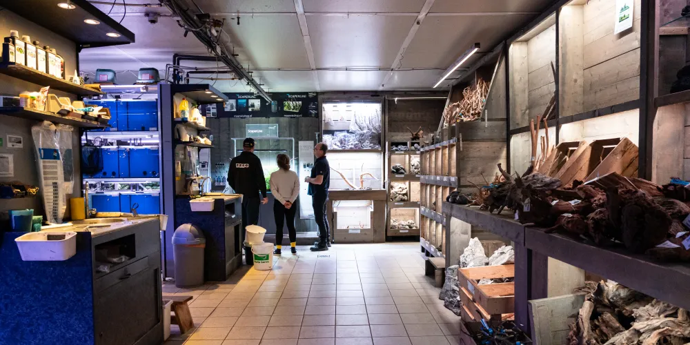 Alles wat je nodig hebt