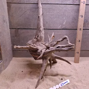 Corbo Root CS0003
