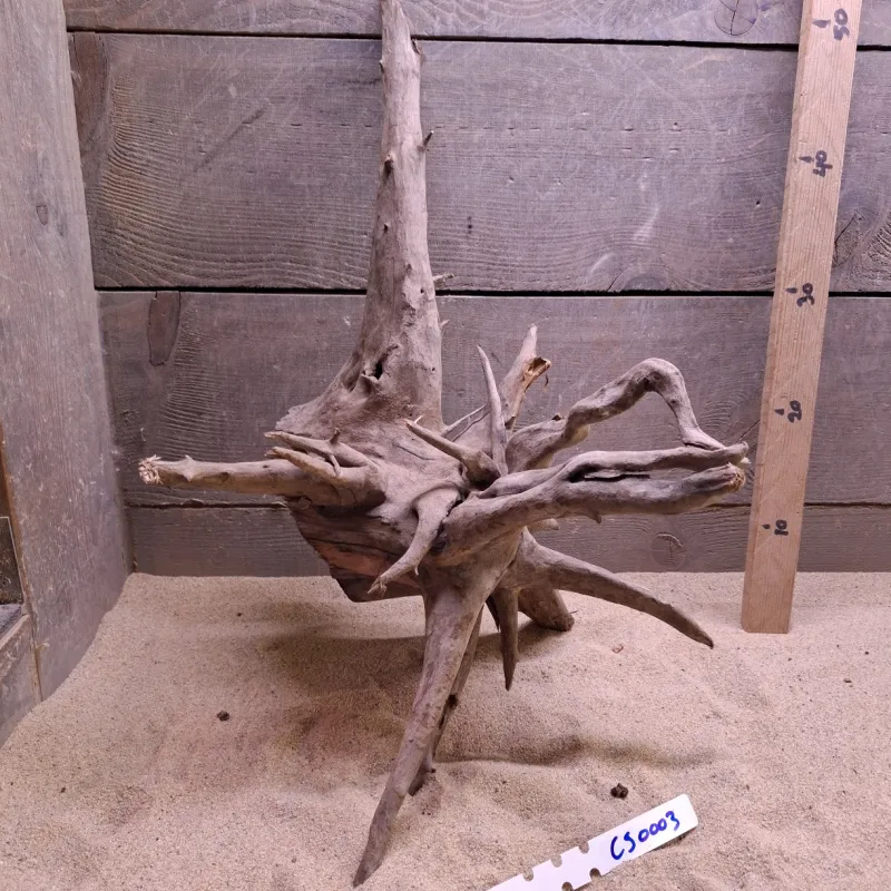 Corbo Root CS0003