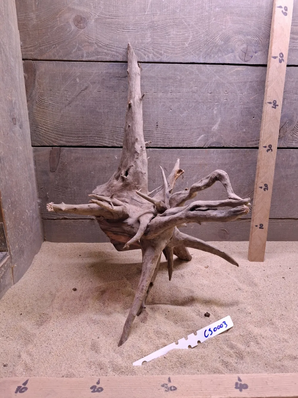 Corbo Root CS0003