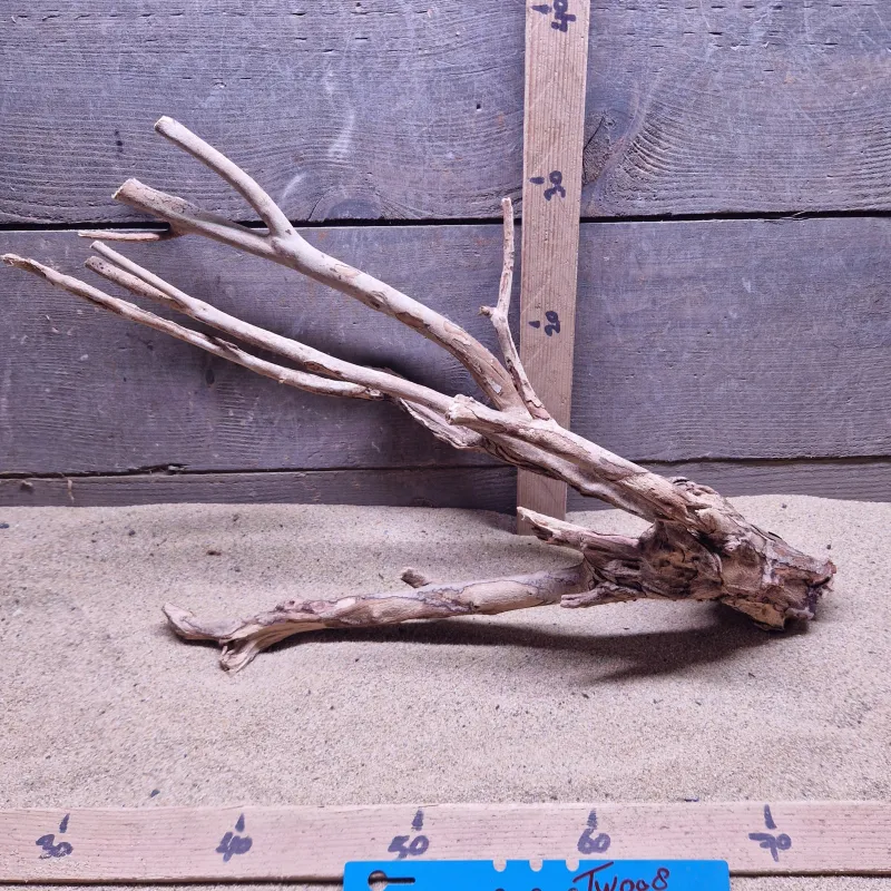 Talawa Wood TW008