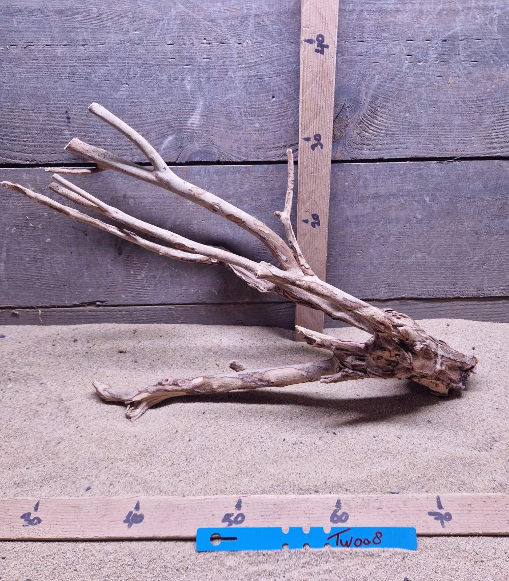 Talawa Wood TW008