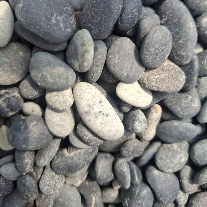 Aquascaping details| Midi Pebbles 1000 gram