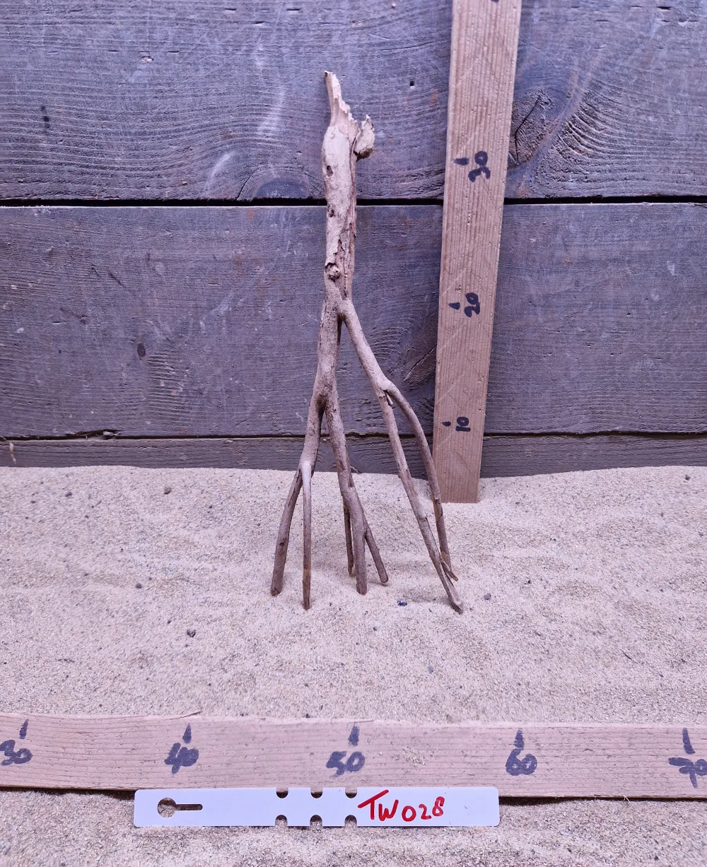 Talawa Wood TW028