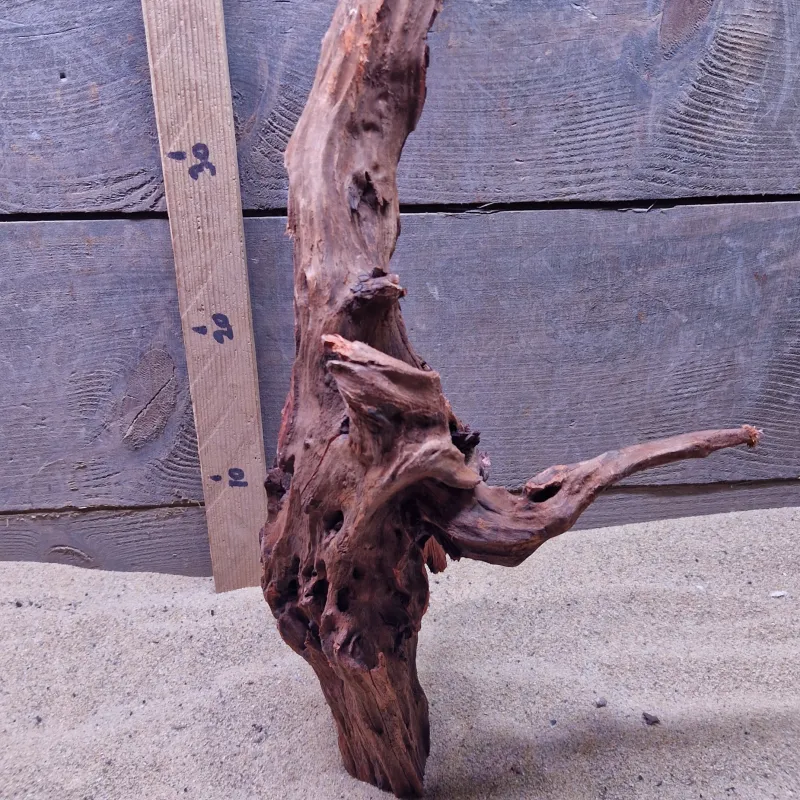 Hornwood HW049