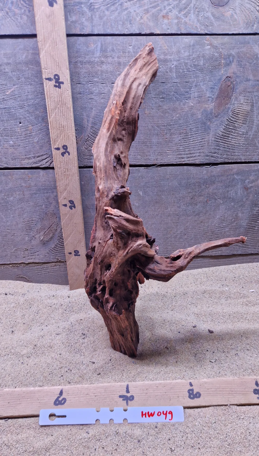 Hornwood HW049