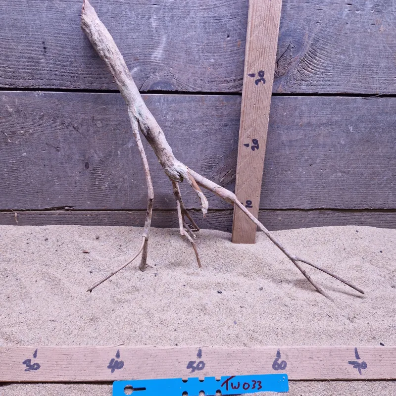 Talawa Wood TW033