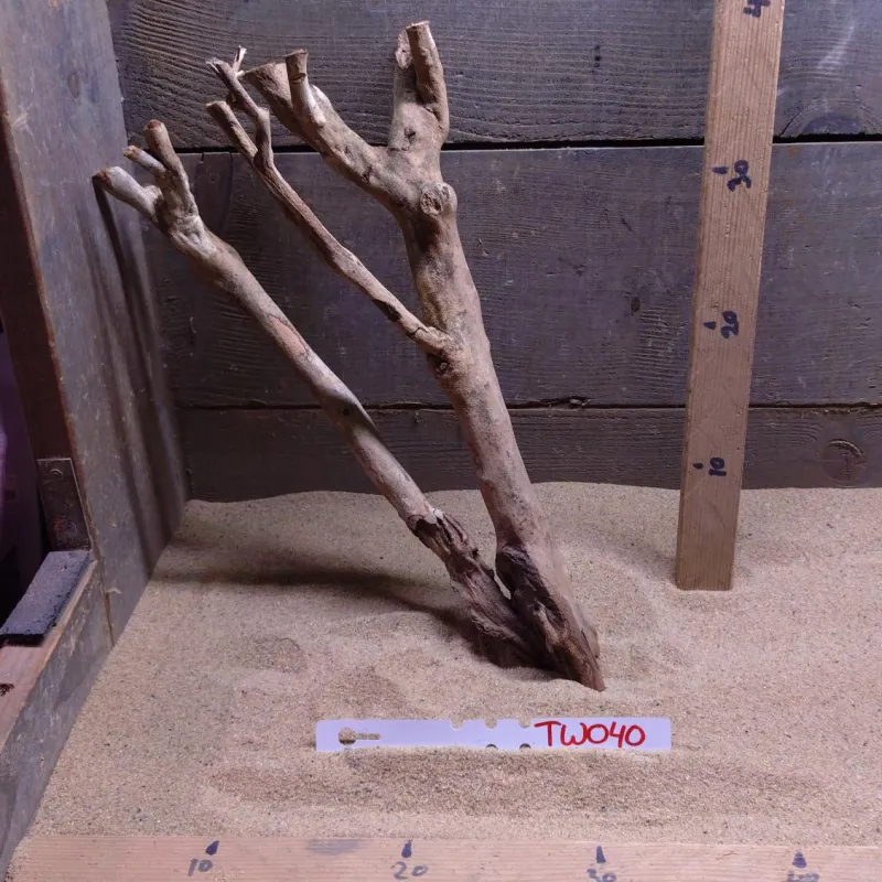 Talawa Wood TW040