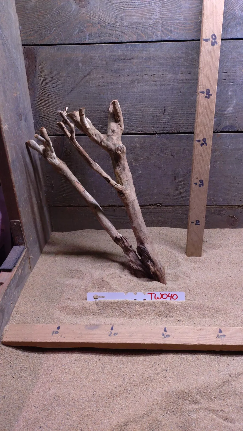 Talawa Wood TW040