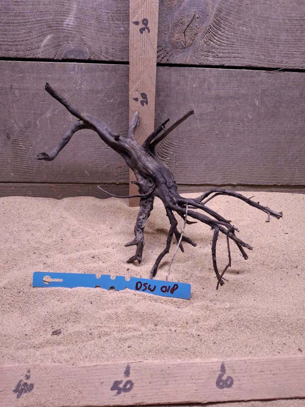 Dark Spiderwood DSW018