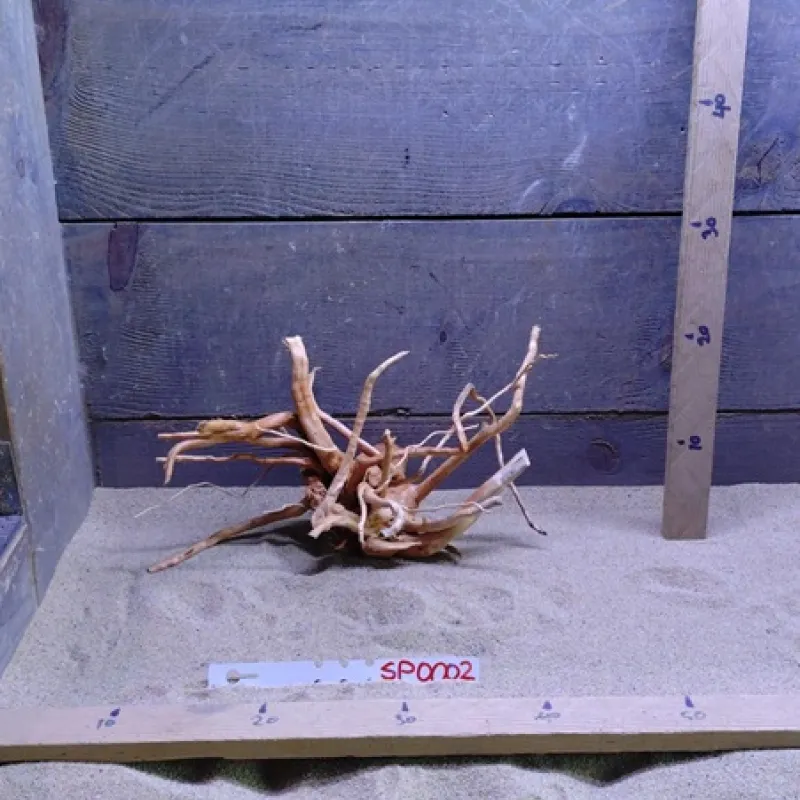 Spiderwood SP0002