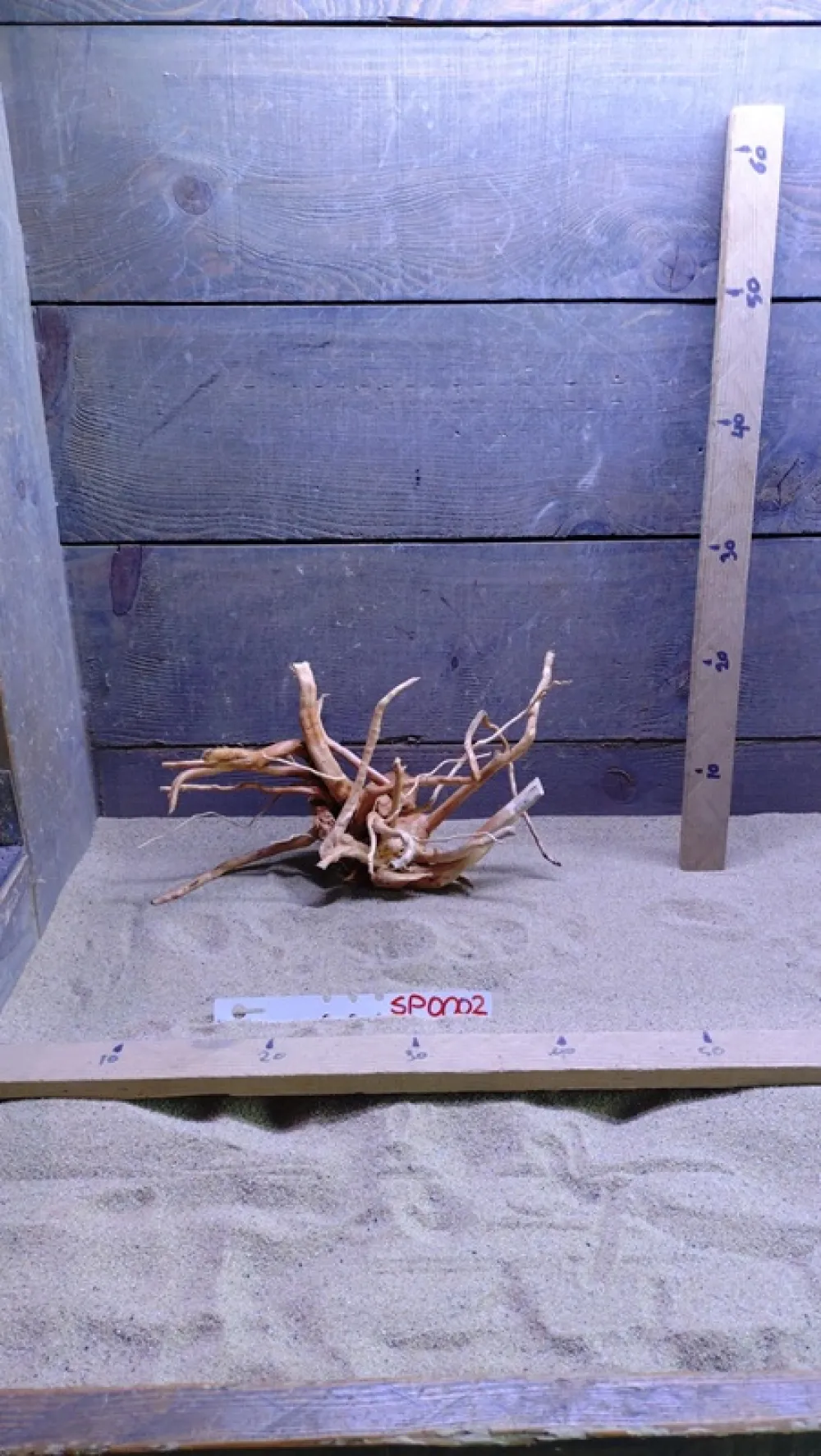 Spiderwood SP0002