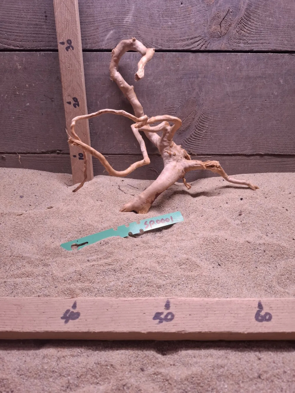 Spiderwood SP0001
