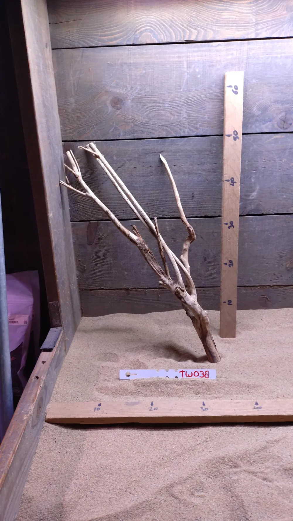 Talawa Wood TW038