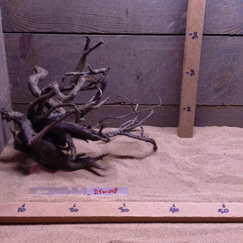 Dark Spiderwood DSW018