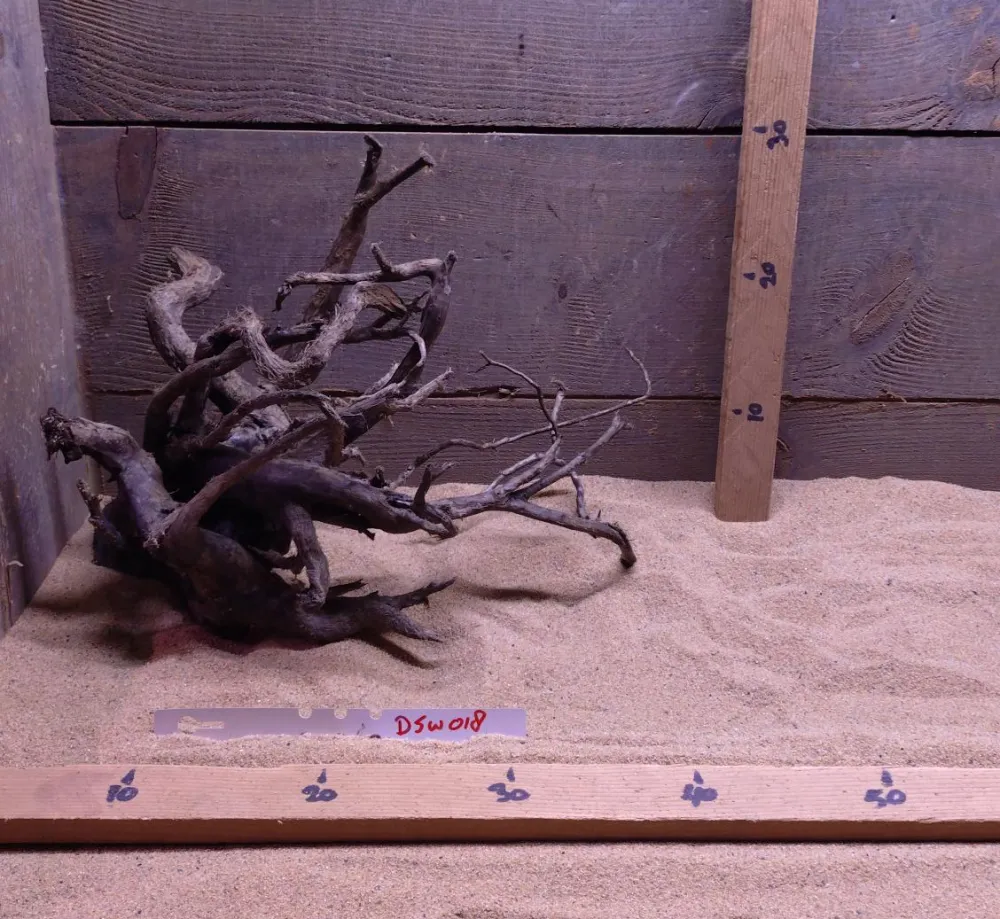 Dark Spiderwood DSW018