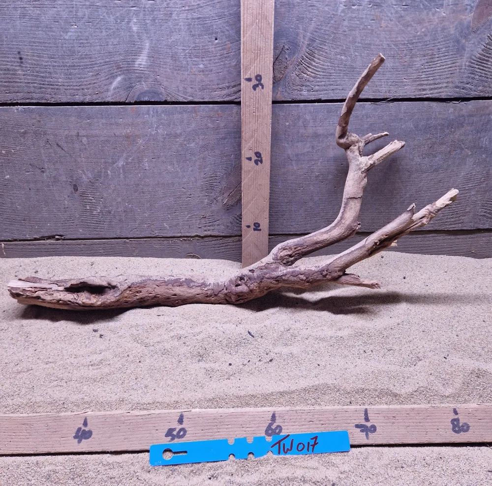 Talawa Wood TW017