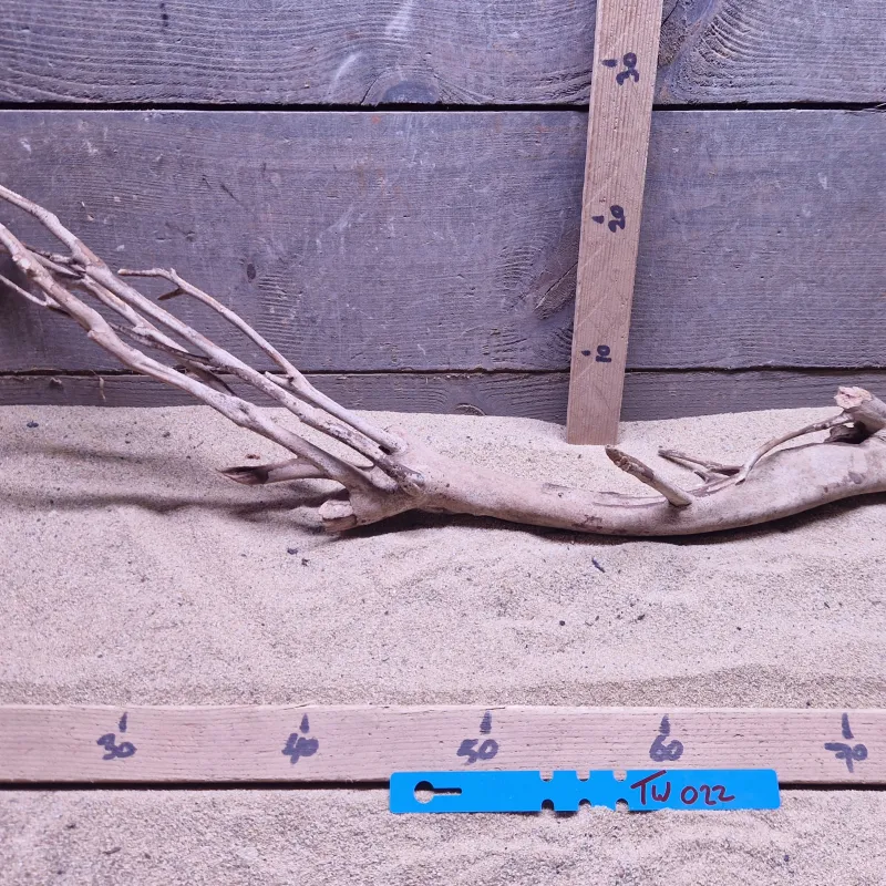 Talawa Wood TW022