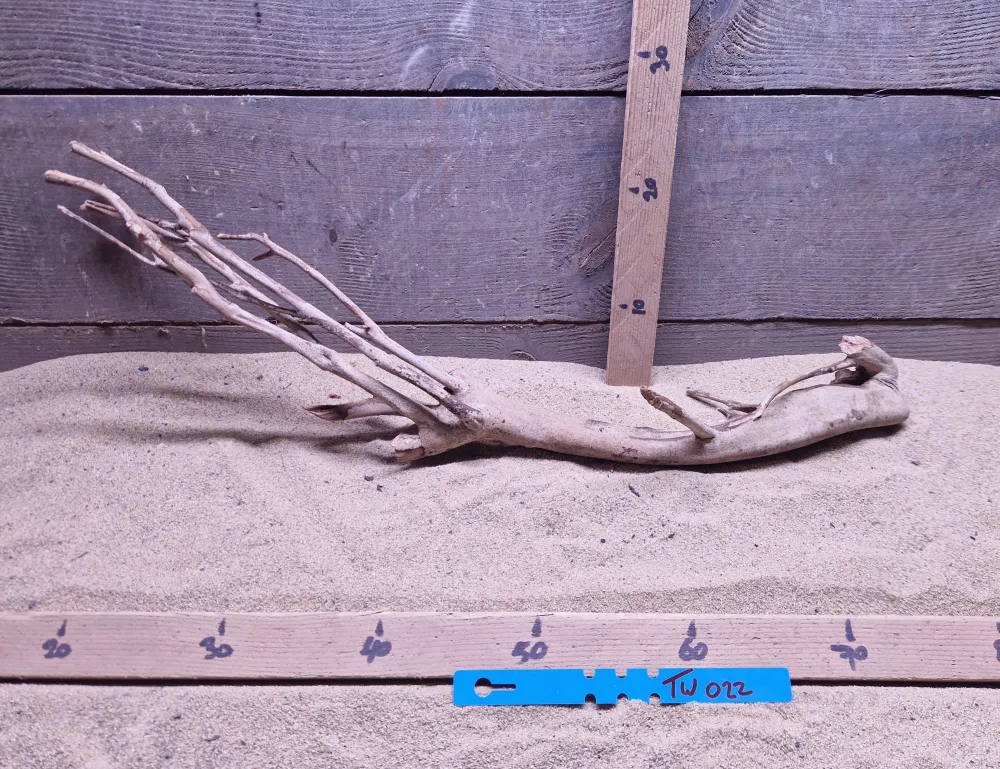 Talawa Wood TW022