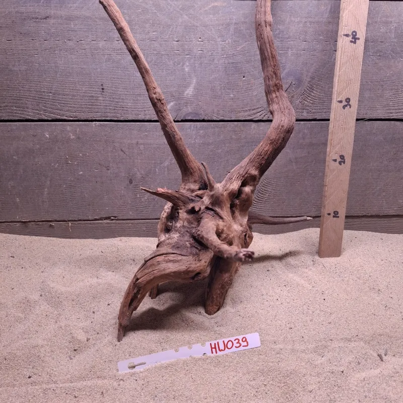 Hornwood HW039