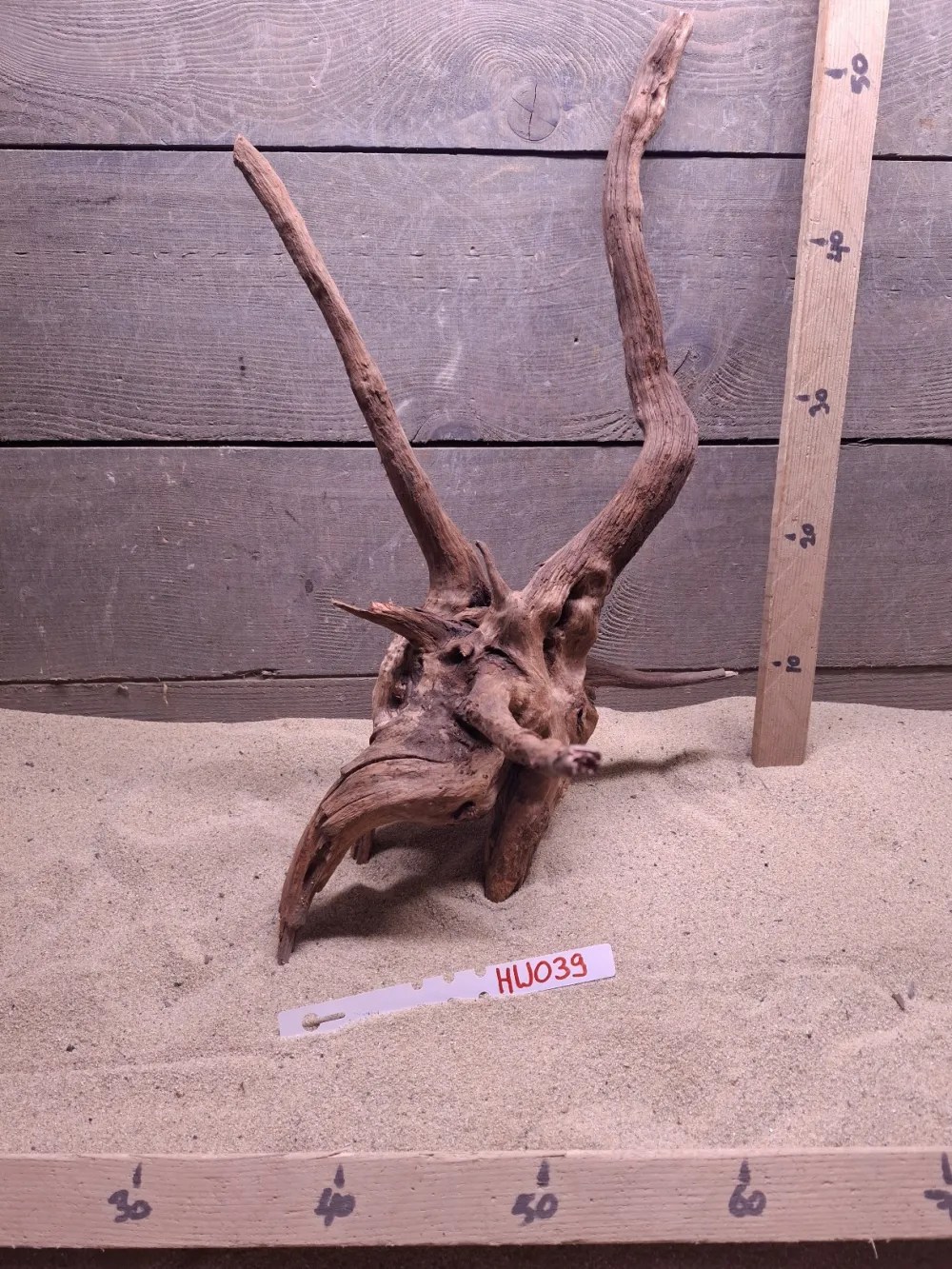Hornwood HW039
