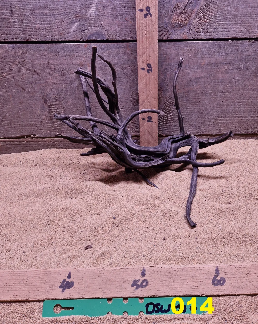 Dark Spiderwood DSW014