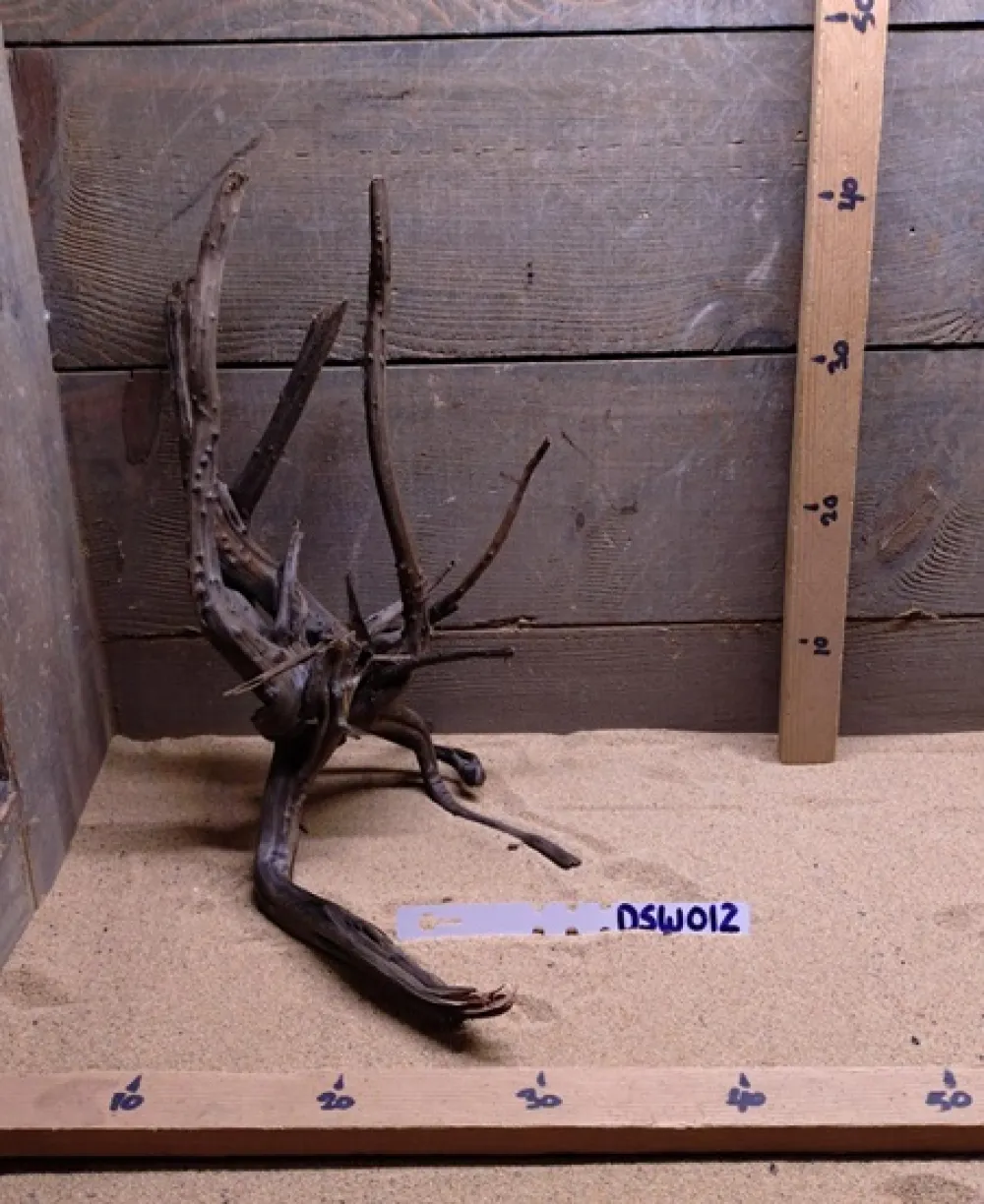 Dark Spiderwood DSW012