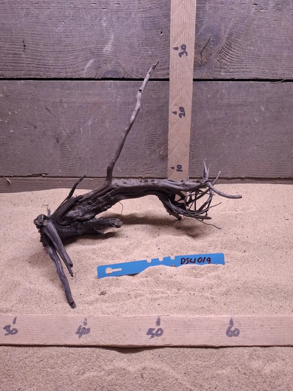 Dark Spiderwood DSW019