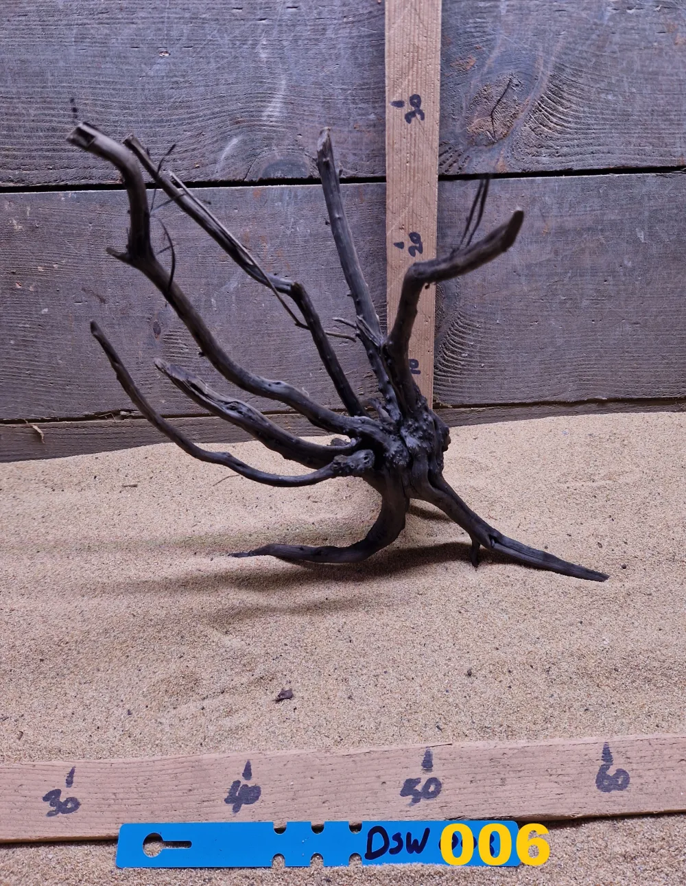 Dark Spiderwood DSW006