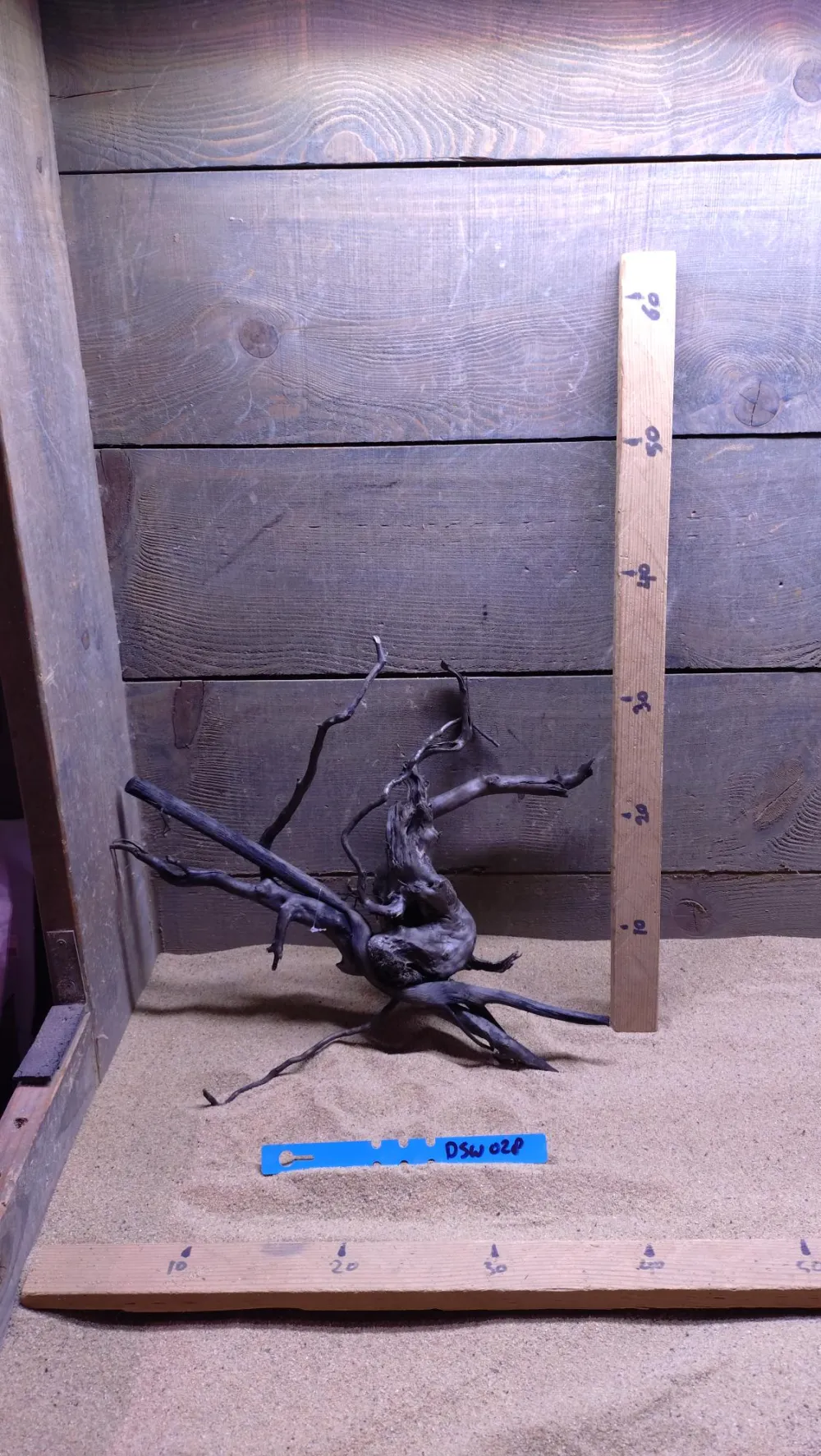 Dark Spiderwood DSW028