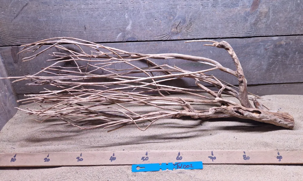 Talawa Wood TW002