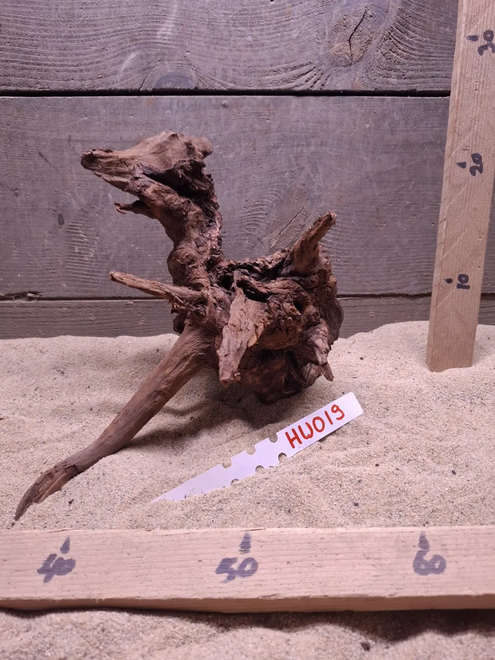 Hornwood HW019