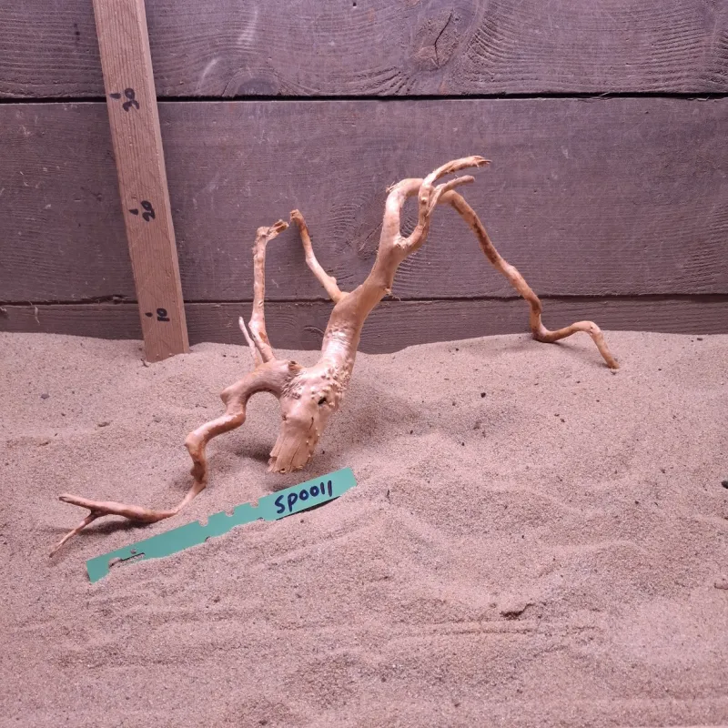 Spiderwood SP0011
