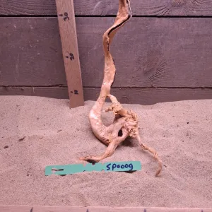 Spiderwood SP0009