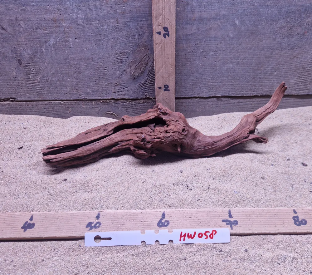 Hornwood HW058