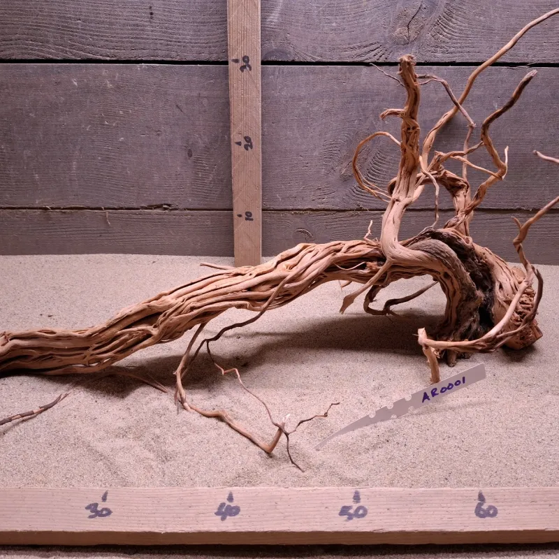 Azalea Root AR0001