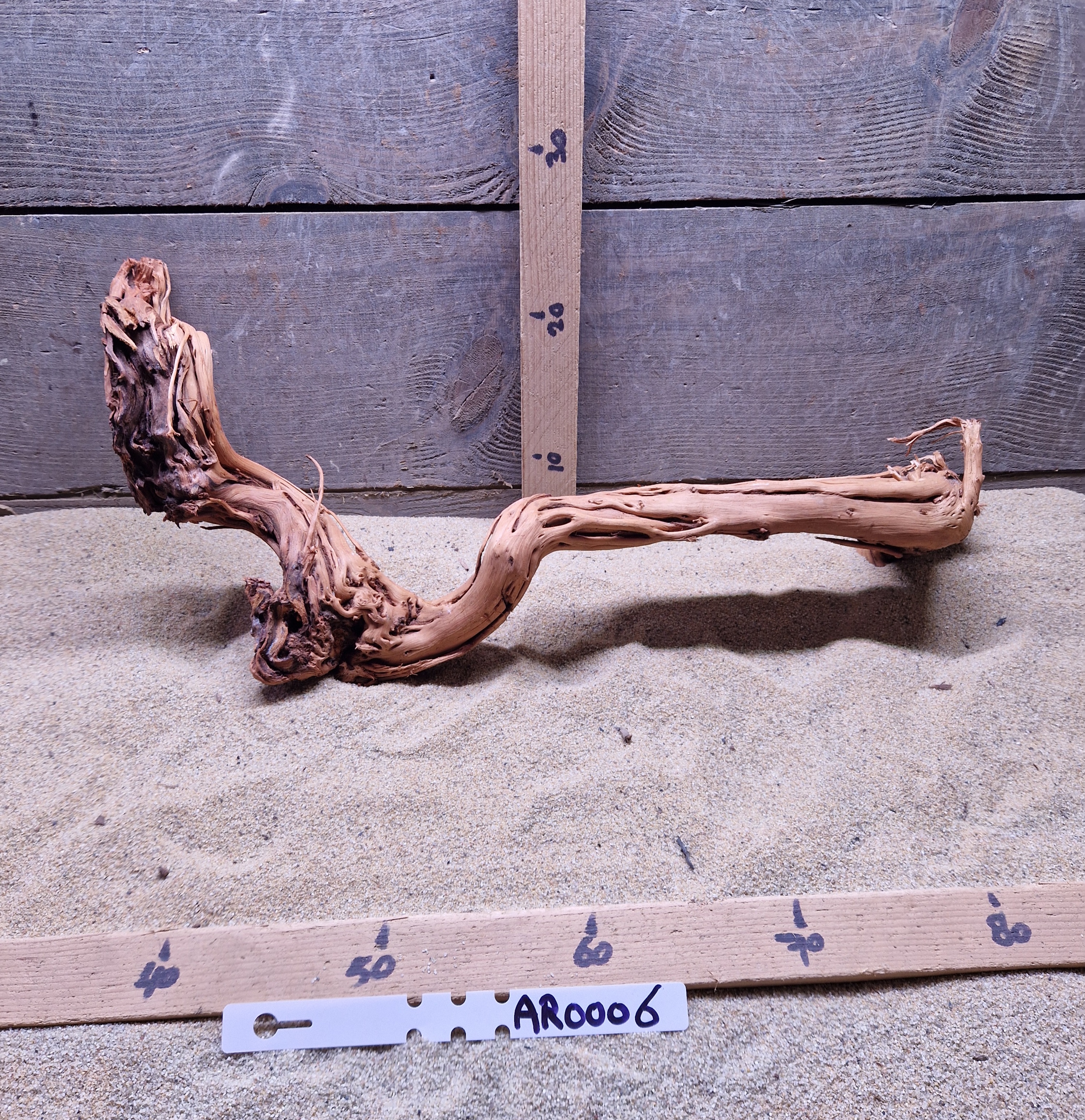 Azalea Root AR0006