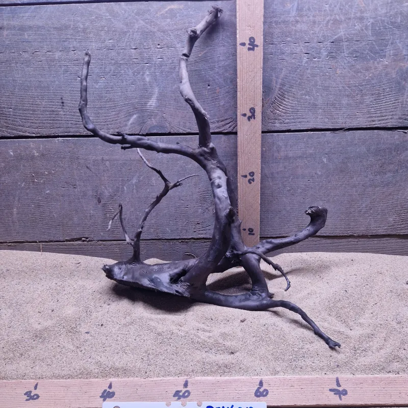 Dark Spiderwood DSW013